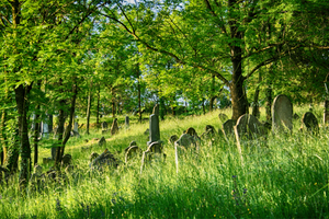 Eco-funerals